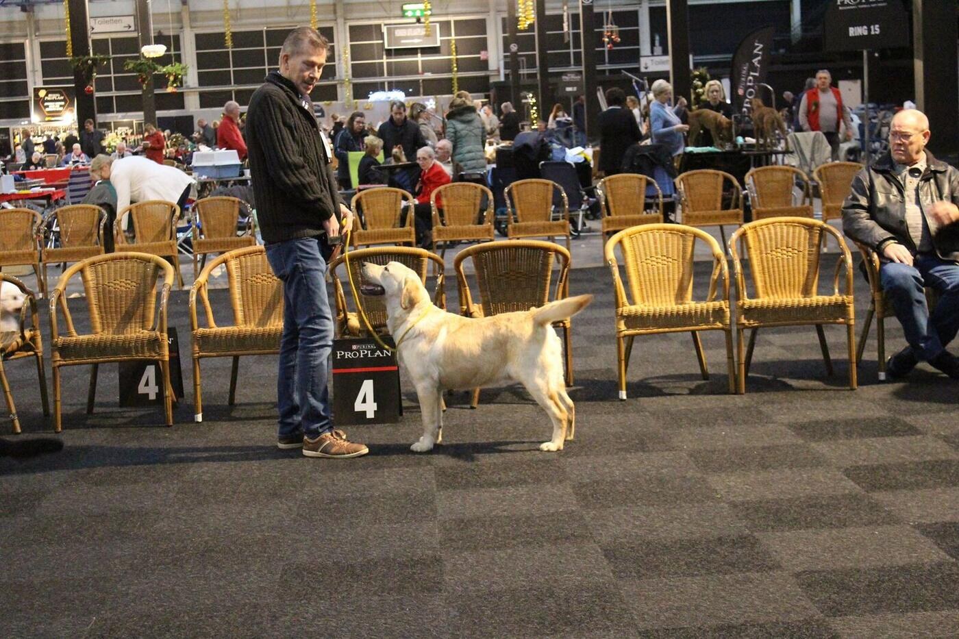 Barney 16-12-2017 8 maanden 3