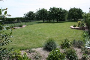 omgeving - onze tuin